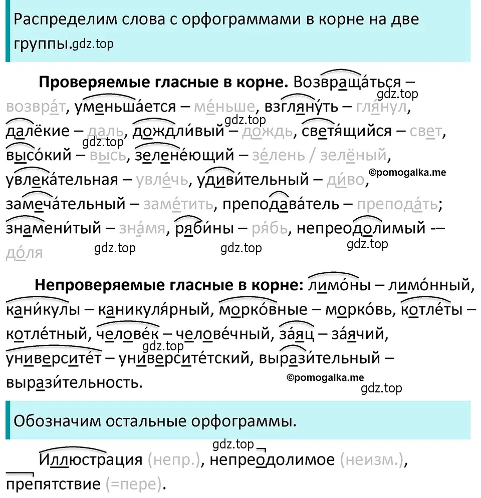 Решение 4. номер 83 (страница 36) гдз по русскому языку 5 класс Разумовская, Львова, учебник 1 часть