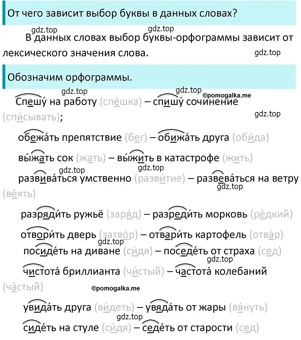 Решение 4. номер 95 (страница 41) гдз по русскому языку 5 класс Разумовская, Львова, учебник 1 часть