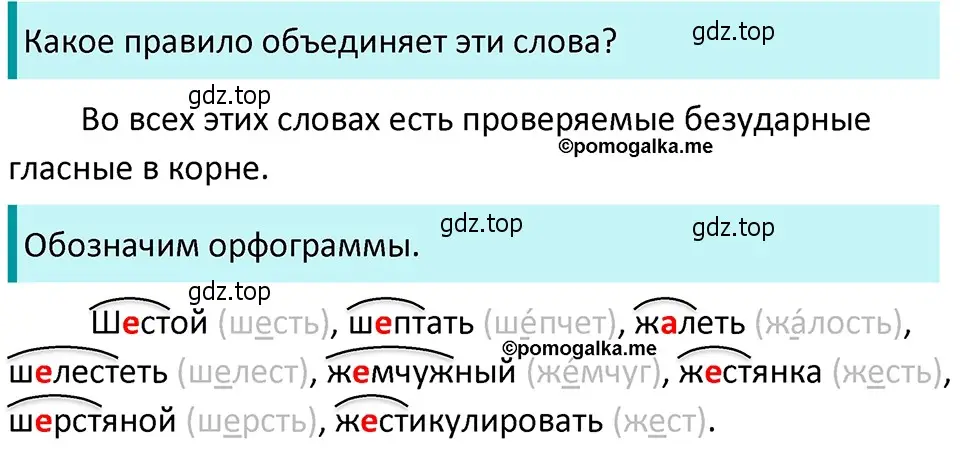 Решение 4. номер 97 (страница 41) гдз по русскому языку 5 класс Разумовская, Львова, учебник 1 часть