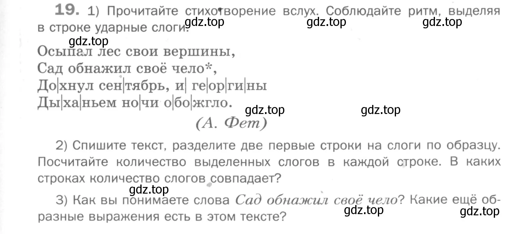 Условие номер 19 (страница 81) гдз по русскому языку 5 класс Шмелев, Флоренская, учебник 1 часть