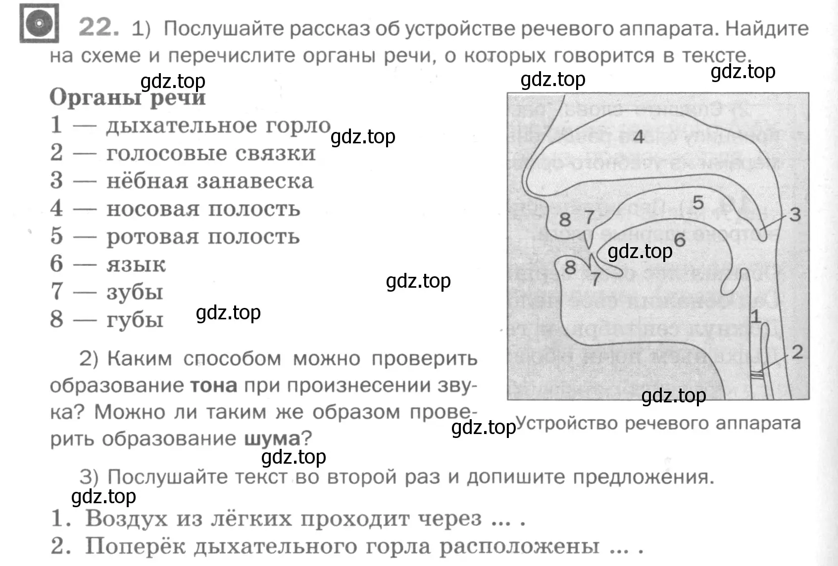 Условие номер 22 (страница 82) гдз по русскому языку 5 класс Шмелев, Флоренская, учебник 1 часть