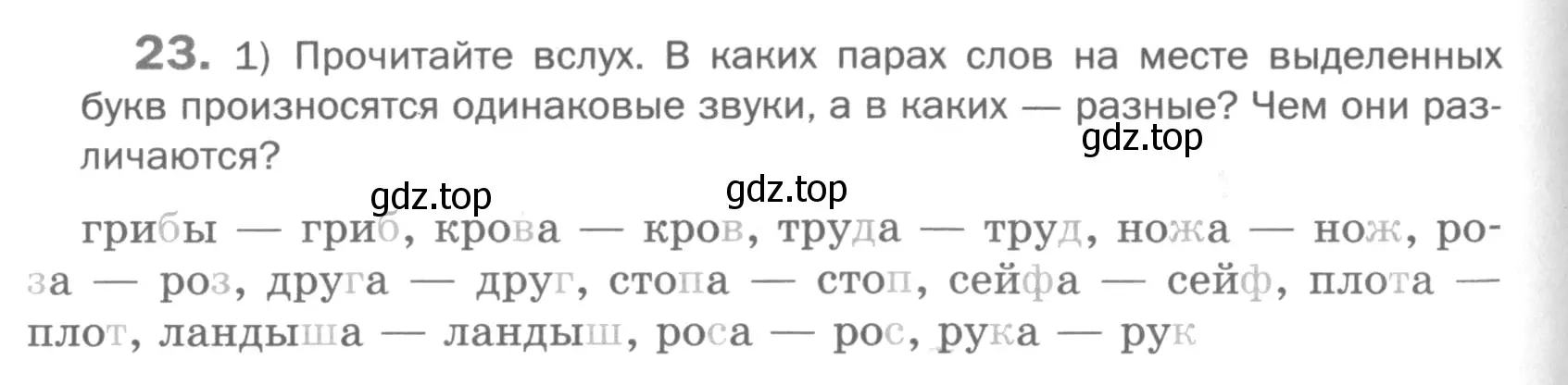 Условие номер 23 (страница 84) гдз по русскому языку 5 класс Шмелев, Флоренская, учебник 1 часть