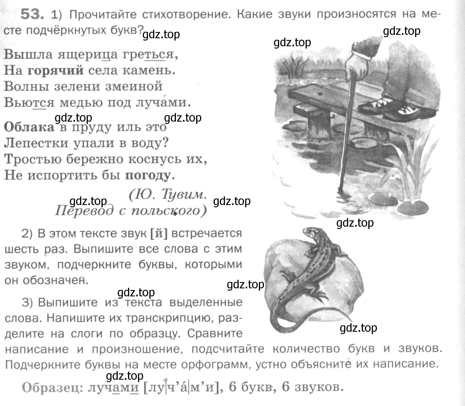 Условие номер 53 (страница 101) гдз по русскому языку 5 класс Шмелев, Флоренская, учебник 1 часть