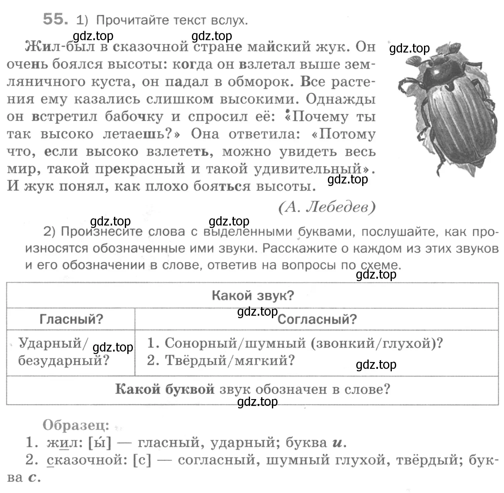 Условие номер 55 (страница 102) гдз по русскому языку 5 класс Шмелев, Флоренская, учебник 1 часть