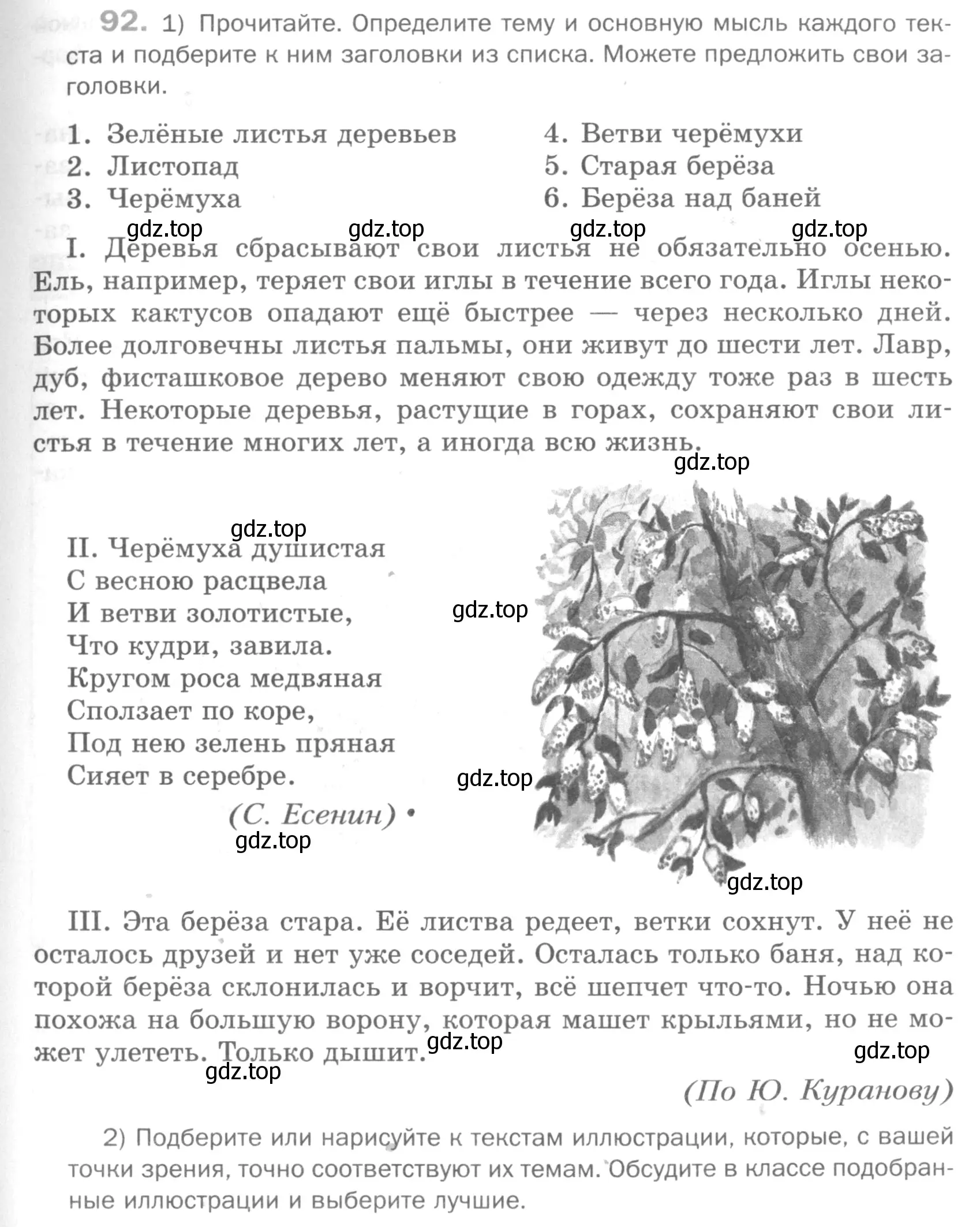 Условие номер 92 (страница 123) гдз по русскому языку 5 класс Шмелев, Флоренская, учебник 1 часть