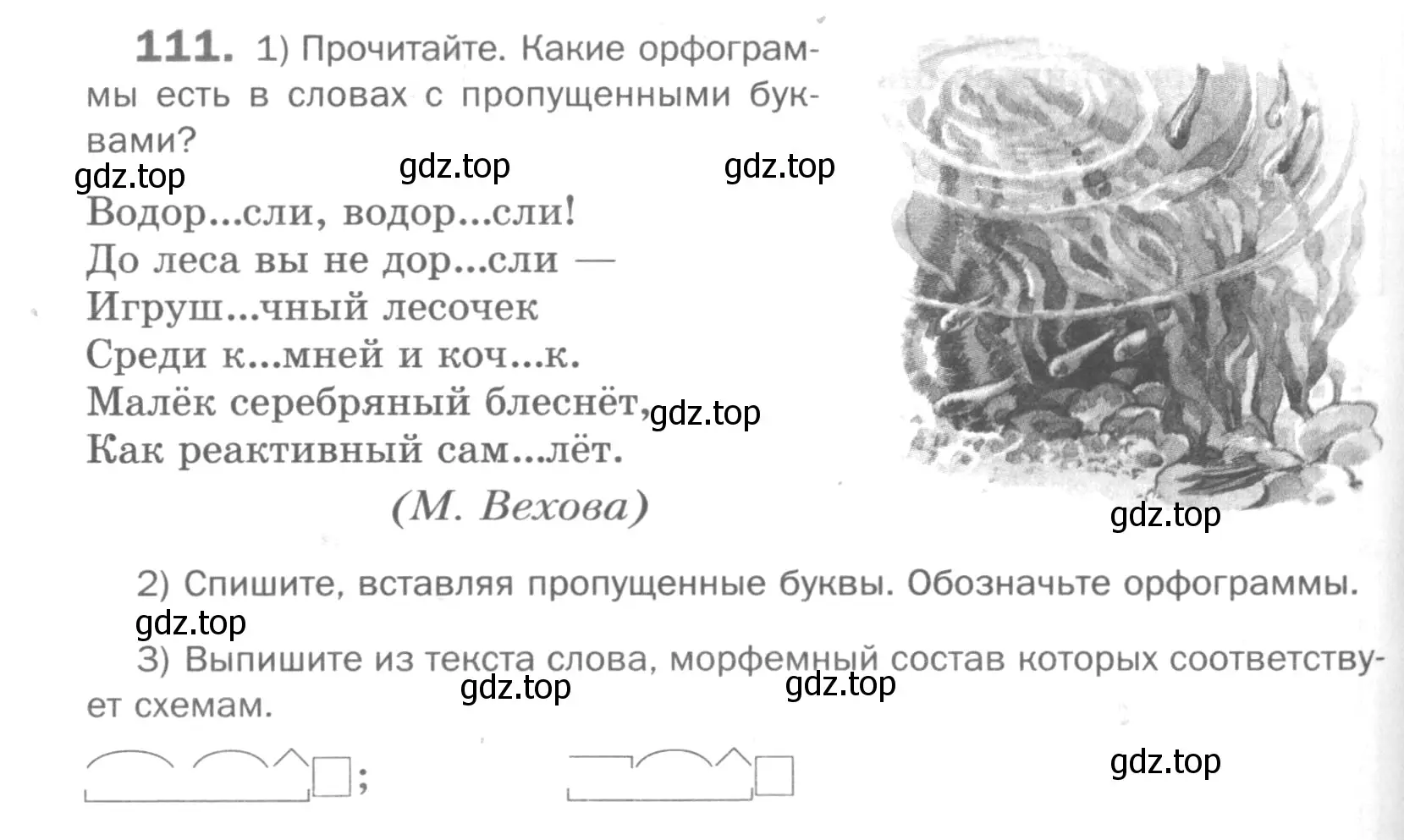 Условие номер 111 (страница 194) гдз по русскому языку 5 класс Шмелев, Флоренская, учебник 1 часть