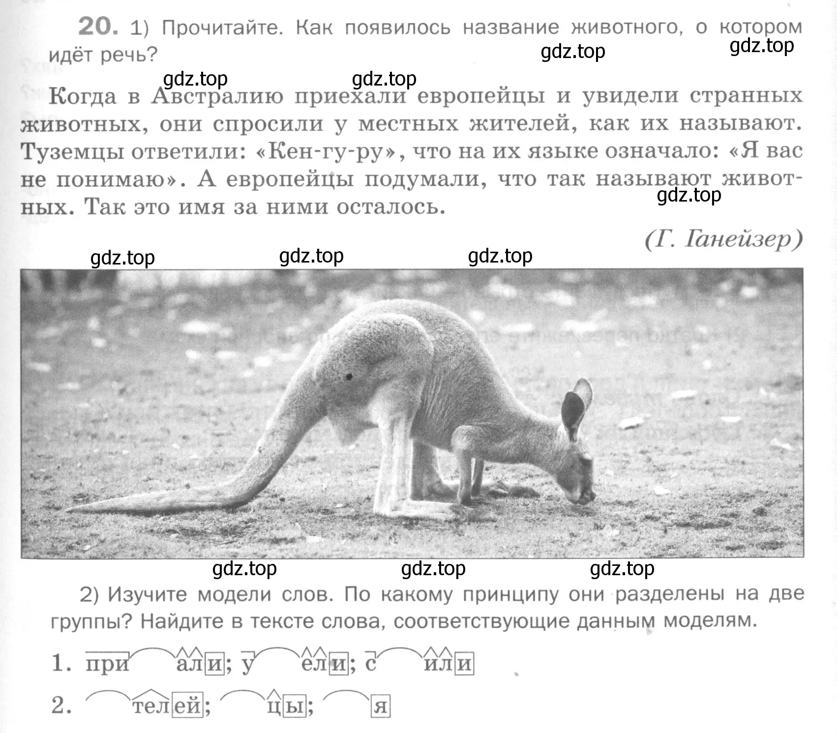 Условие номер 20 (страница 151) гдз по русскому языку 5 класс Шмелев, Флоренская, учебник 1 часть