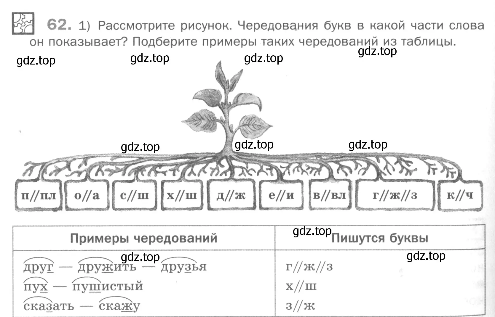 Условие номер 62 (страница 170) гдз по русскому языку 5 класс Шмелев, Флоренская, учебник 1 часть