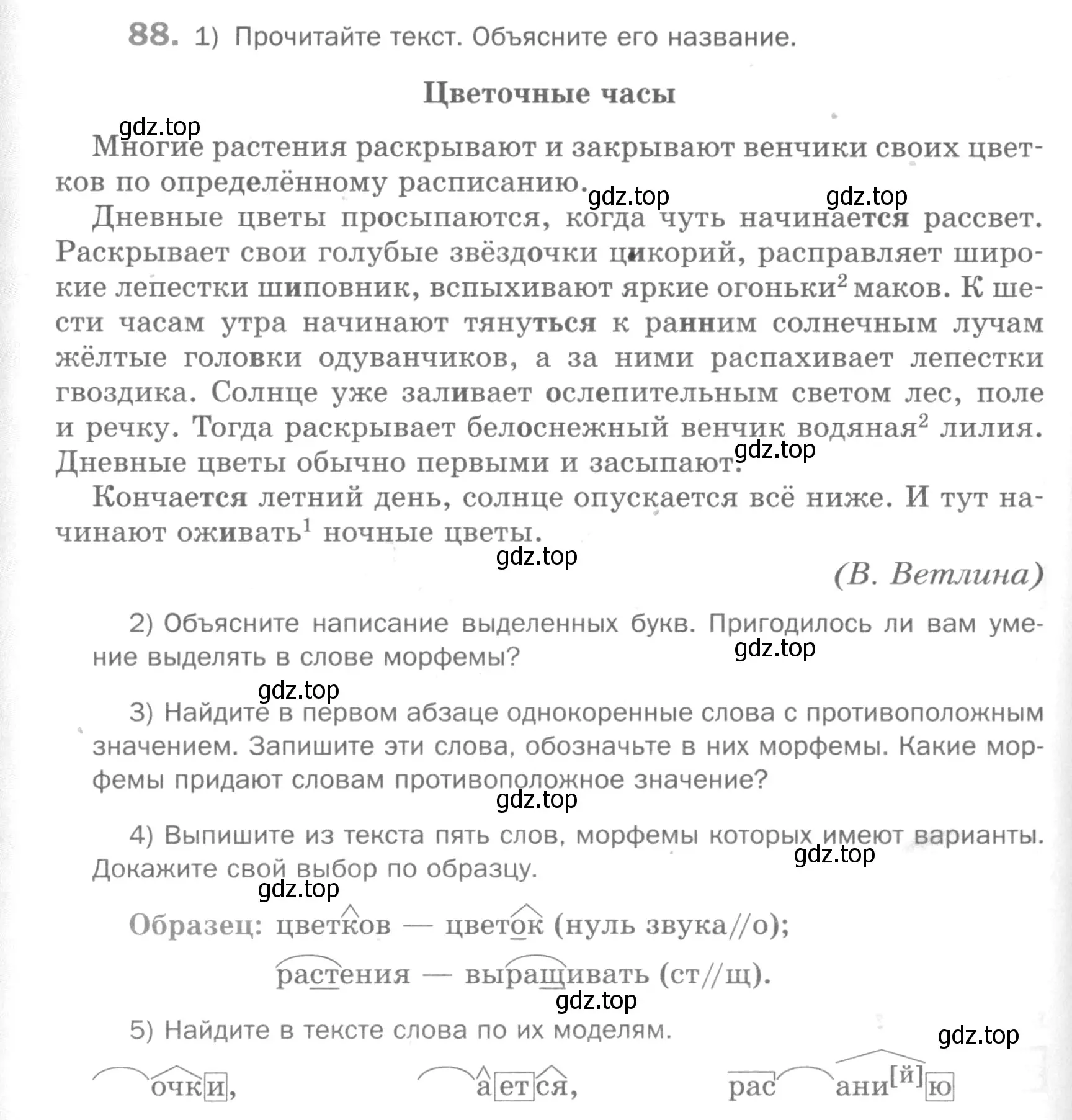 Условие номер 88 (страница 182) гдз по русскому языку 5 класс Шмелев, Флоренская, учебник 1 часть