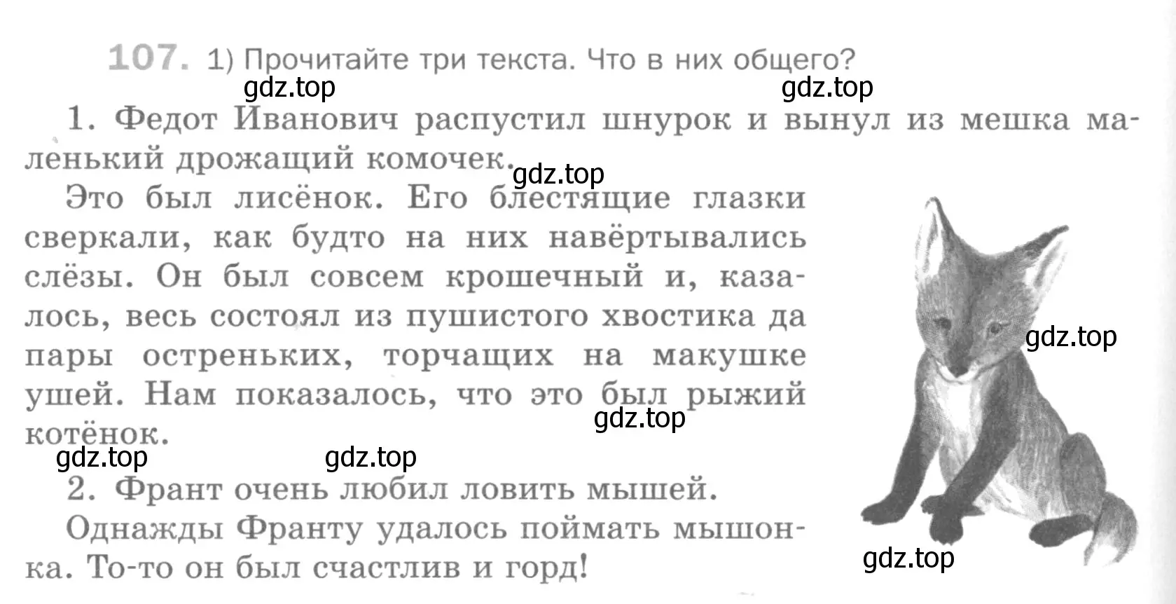 Условие номер 107 (страница 282) гдз по русскому языку 5 класс Шмелев, Флоренская, учебник 1 часть