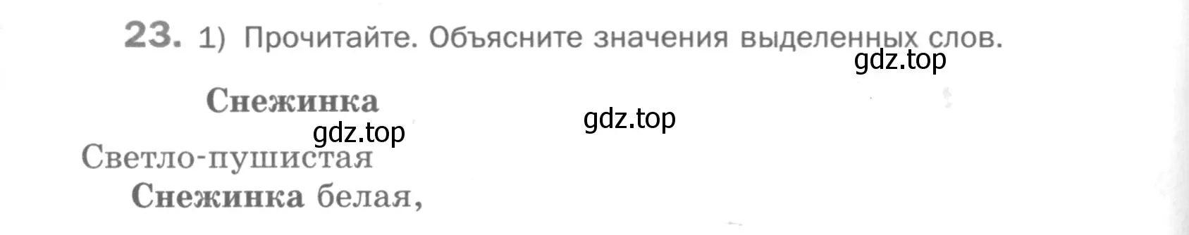 Условие номер 23 (страница 240) гдз по русскому языку 5 класс Шмелев, Флоренская, учебник 1 часть