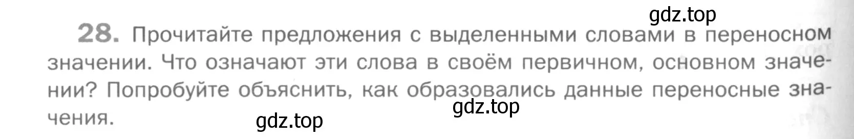 Условие номер 28 (страница 244) гдз по русскому языку 5 класс Шмелев, Флоренская, учебник 1 часть