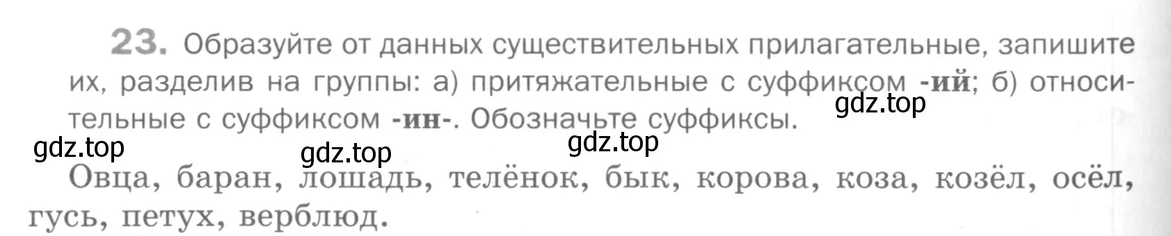 Условие номер 23 (страница 202) гдз по русскому языку 5 класс Шмелев, Флоренская, учебник 2 часть