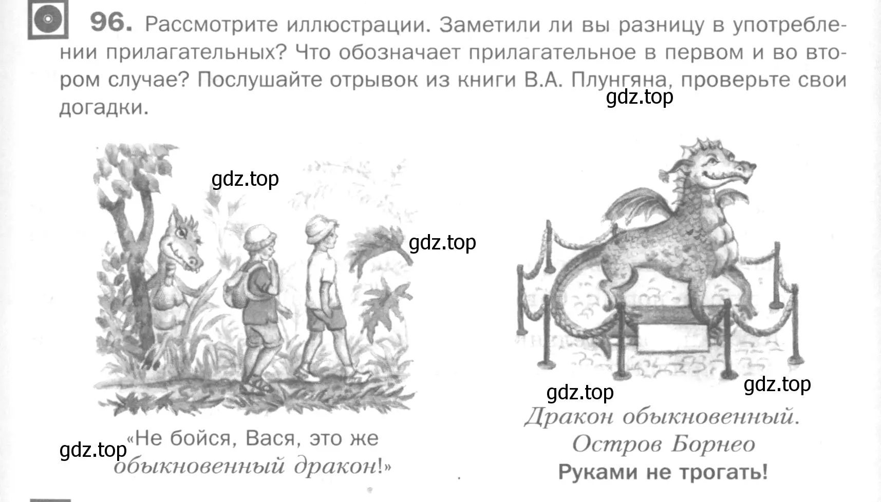 Условие номер 96 (страница 243) гдз по русскому языку 5 класс Шмелев, Флоренская, учебник 2 часть