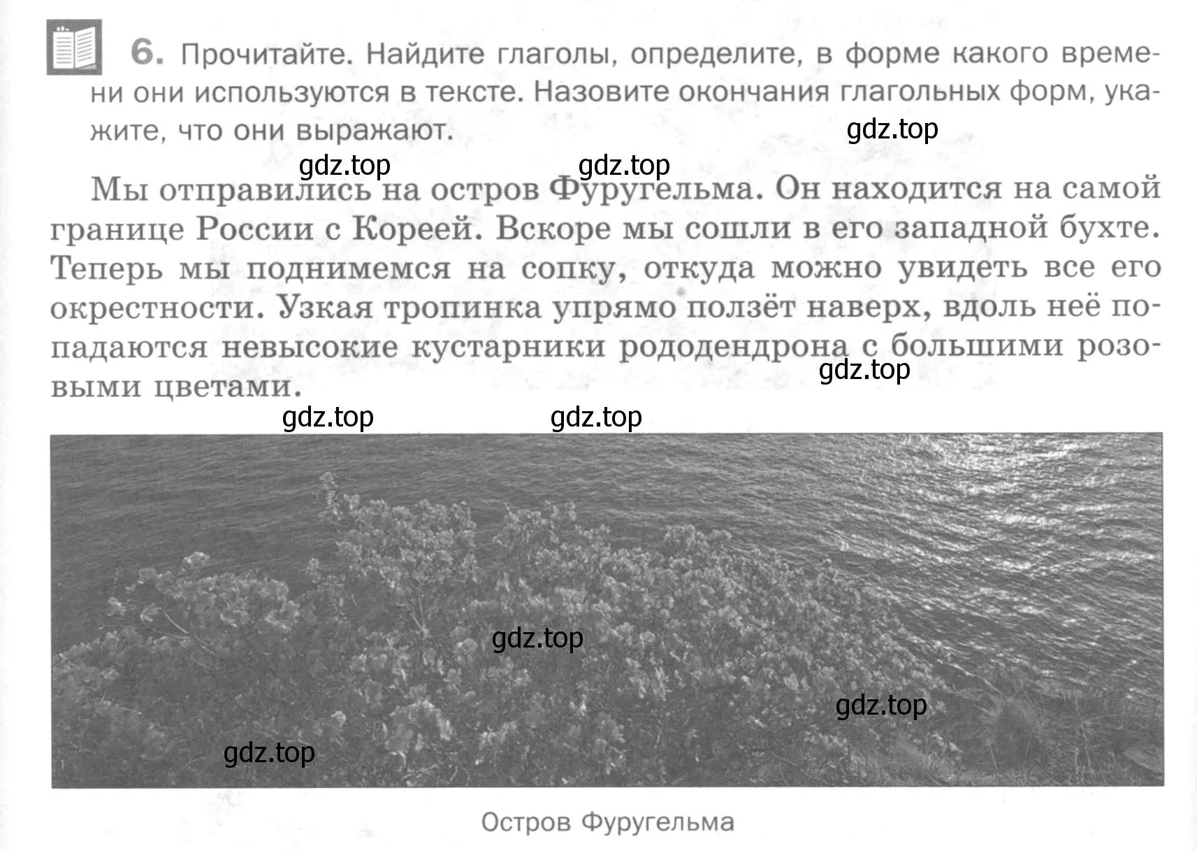 Условие номер 6 (страница 254) гдз по русскому языку 5 класс Шмелев, Флоренская, учебник 2 часть