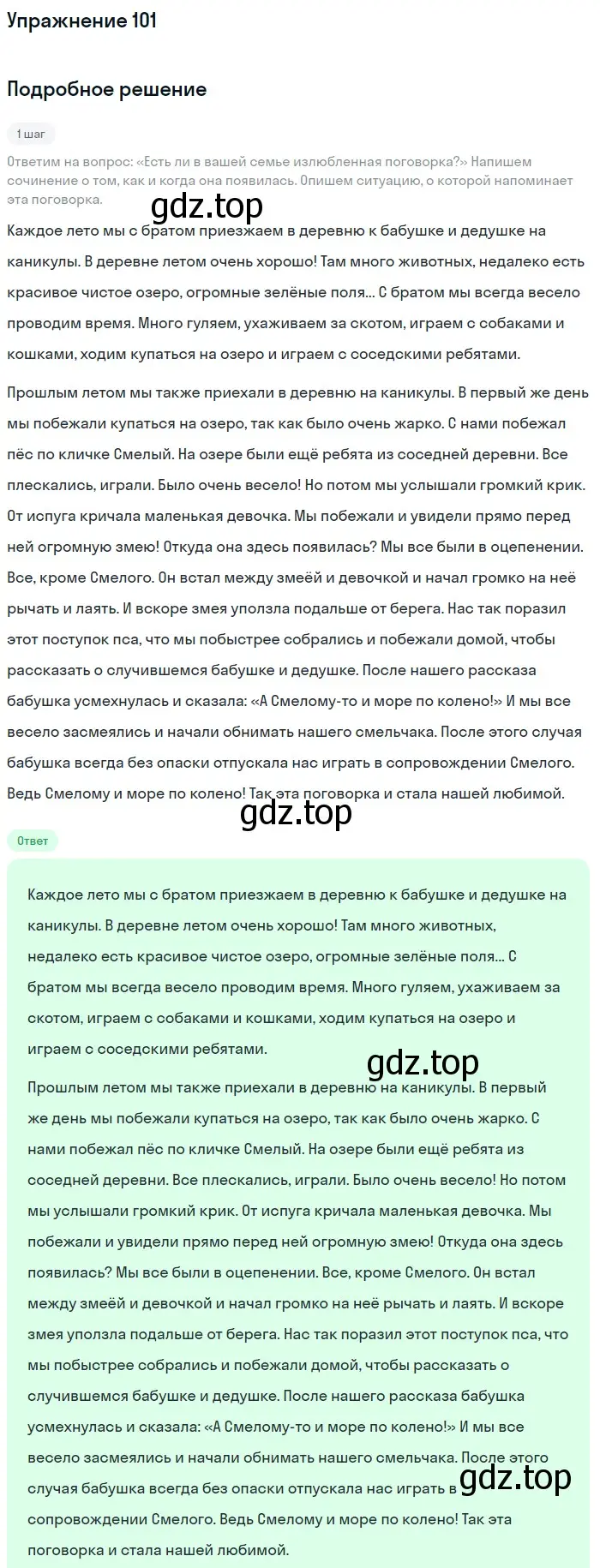 Решение номер 101 (страница 63) гдз по русскому языку 5 класс Шмелев, Флоренская, учебник 1 часть