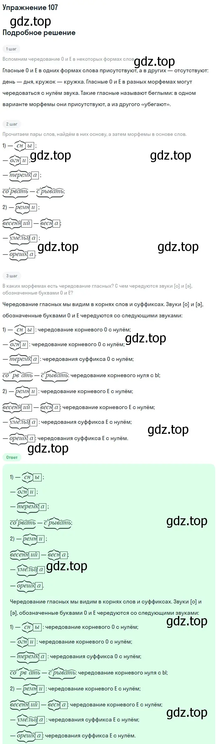 Решение номер 107 (страница 191) гдз по русскому языку 5 класс Шмелев, Флоренская, учебник 1 часть