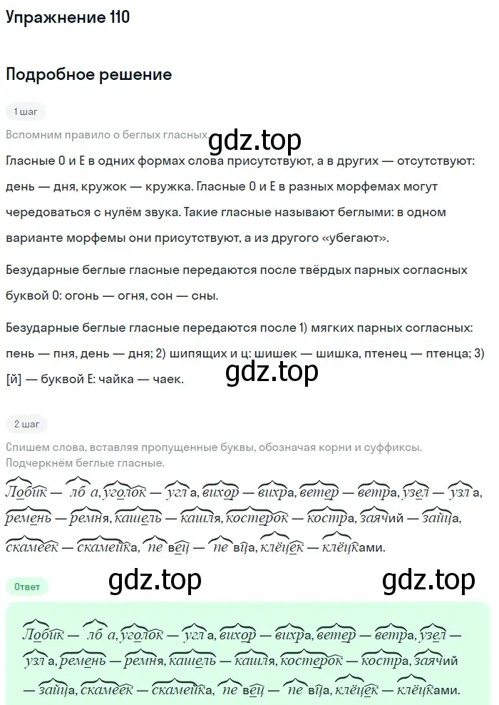 Решение номер 110 (страница 194) гдз по русскому языку 5 класс Шмелев, Флоренская, учебник 1 часть