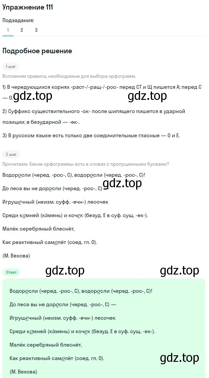 Решение номер 111 (страница 194) гдз по русскому языку 5 класс Шмелев, Флоренская, учебник 1 часть