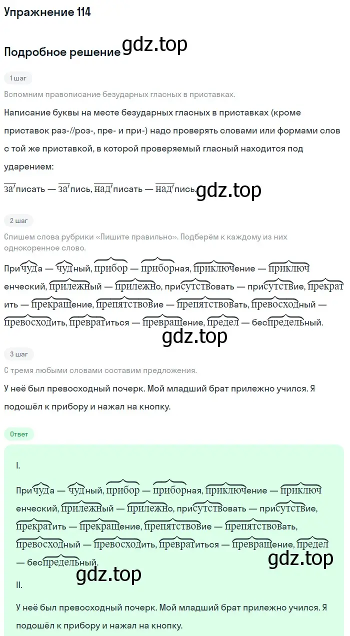 Решение номер 114 (страница 196) гдз по русскому языку 5 класс Шмелев, Флоренская, учебник 1 часть