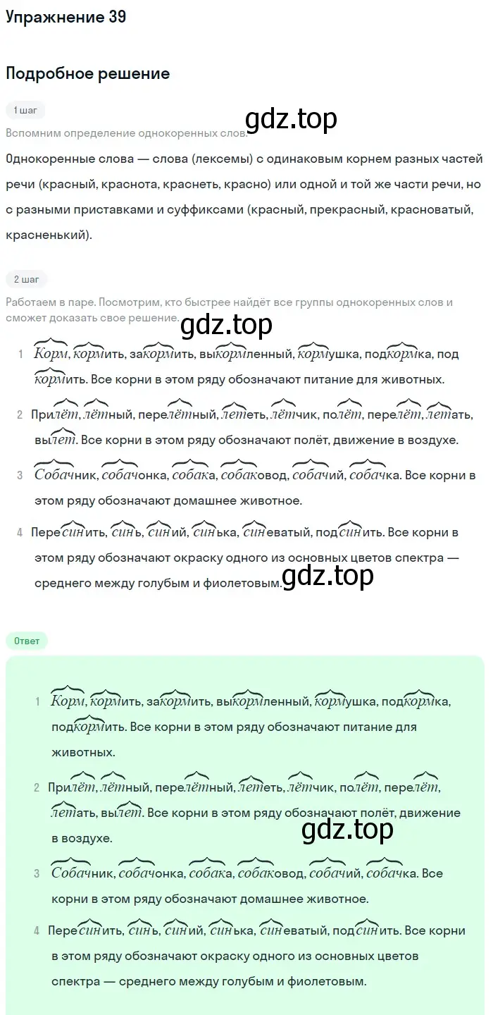Решение номер 39 (страница 159) гдз по русскому языку 5 класс Шмелев, Флоренская, учебник 1 часть