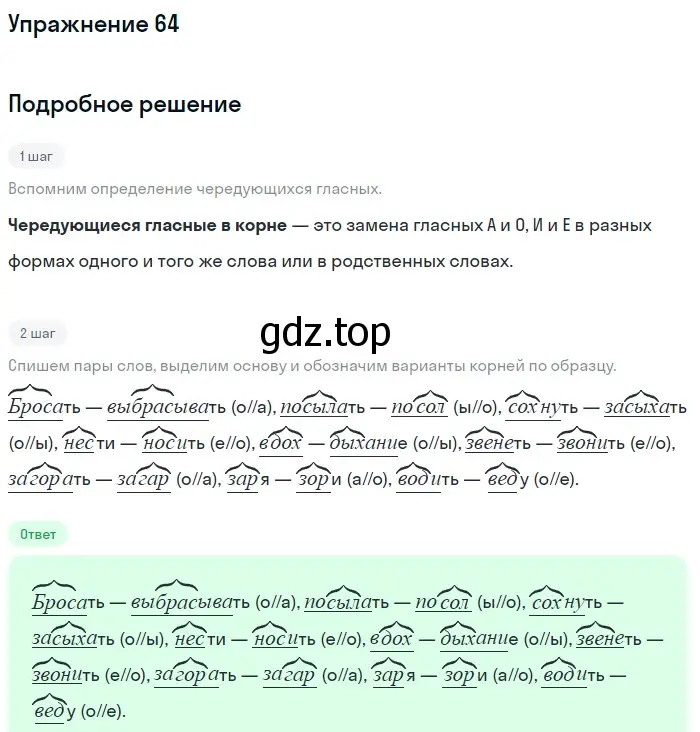 Решение номер 64 (страница 171) гдз по русскому языку 5 класс Шмелев, Флоренская, учебник 1 часть