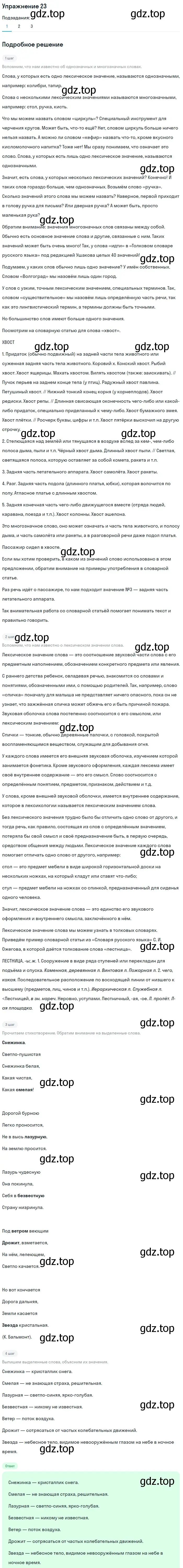 Решение номер 23 (страница 240) гдз по русскому языку 5 класс Шмелев, Флоренская, учебник 1 часть