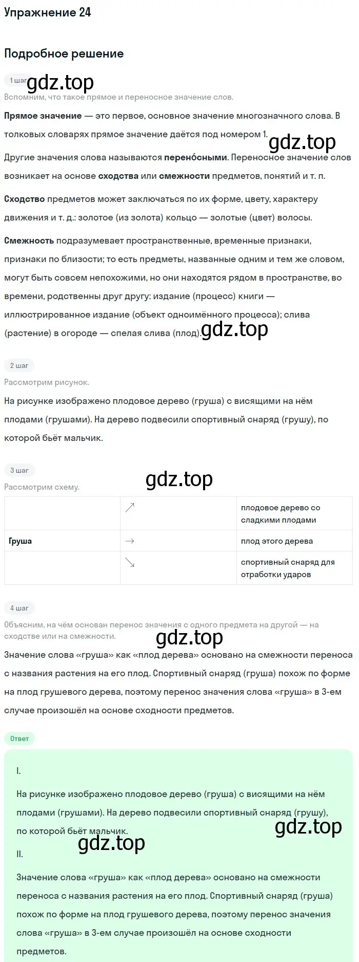 Решение номер 24 (страница 243) гдз по русскому языку 5 класс Шмелев, Флоренская, учебник 1 часть