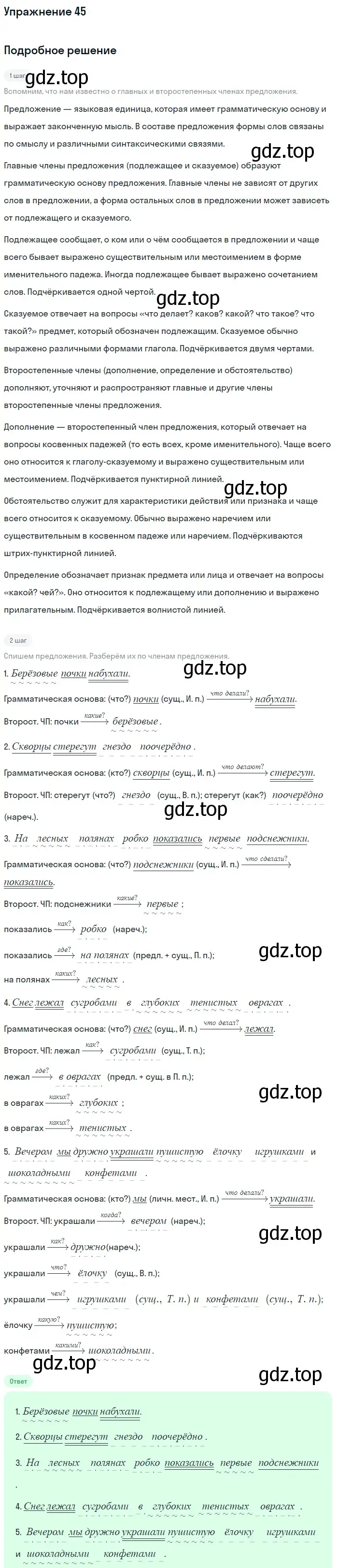 Решение номер 45 (страница 43) гдз по русскому языку 5 класс Шмелев, Флоренская, учебник 2 часть