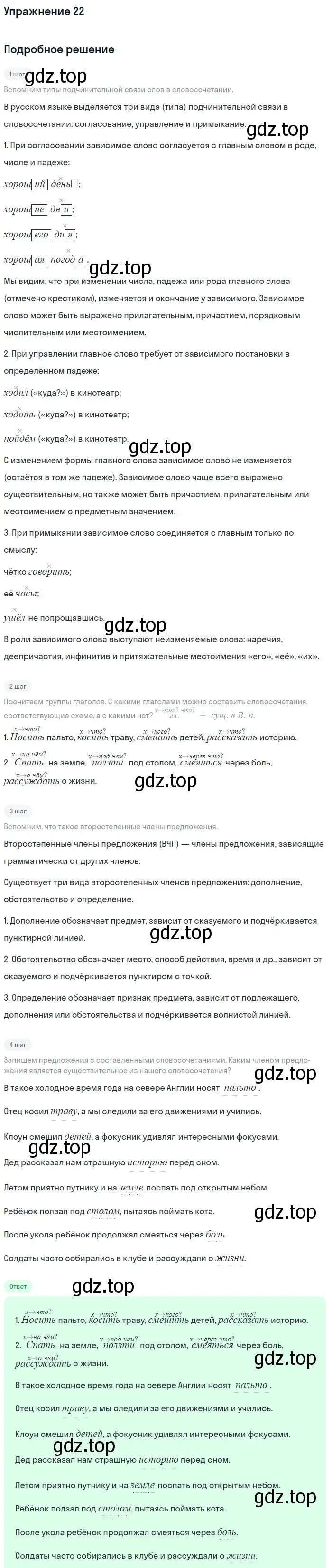 Решение номер 22 (страница 263) гдз по русскому языку 5 класс Шмелев, Флоренская, учебник 2 часть