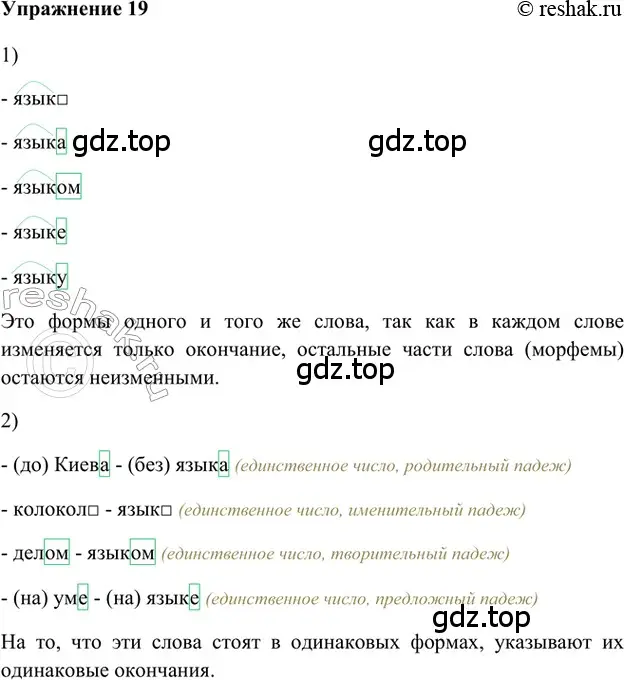 Решение 2. номер 19 (страница 17) гдз по русскому языку 5 класс Шмелев, Флоренская, учебник 1 часть