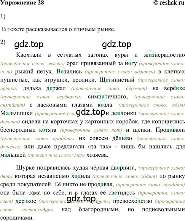 Решение 2. номер 28 (страница 20) гдз по русскому языку 5 класс Шмелев, Флоренская, учебник 1 часть