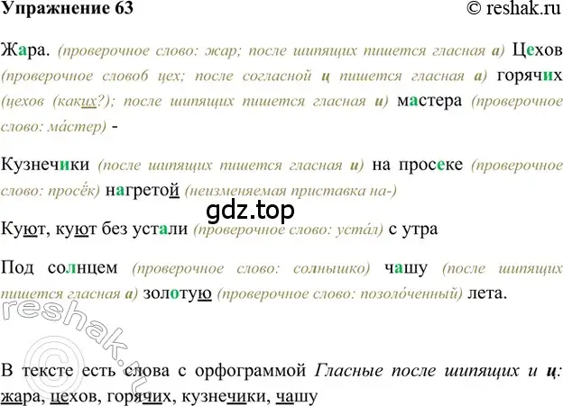 Решение 2. номер 63 (страница 106) гдз по русскому языку 5 класс Шмелев, Флоренская, учебник 1 часть