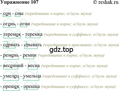 Решение 2. номер 107 (страница 191) гдз по русскому языку 5 класс Шмелев, Флоренская, учебник 1 часть