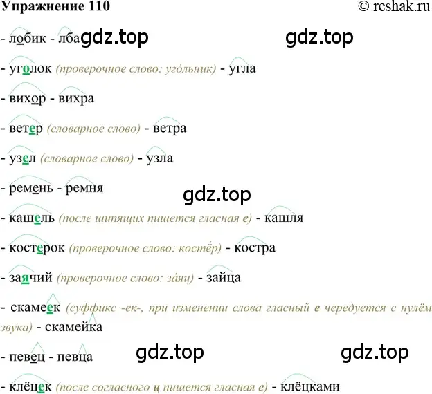 Решение 2. номер 110 (страница 194) гдз по русскому языку 5 класс Шмелев, Флоренская, учебник 1 часть