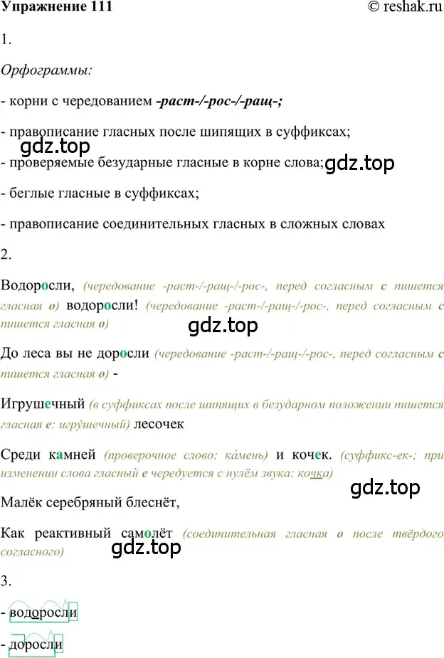 Решение 2. номер 111 (страница 194) гдз по русскому языку 5 класс Шмелев, Флоренская, учебник 1 часть