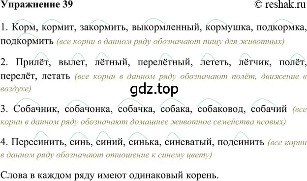 Решение 2. номер 39 (страница 159) гдз по русскому языку 5 класс Шмелев, Флоренская, учебник 1 часть