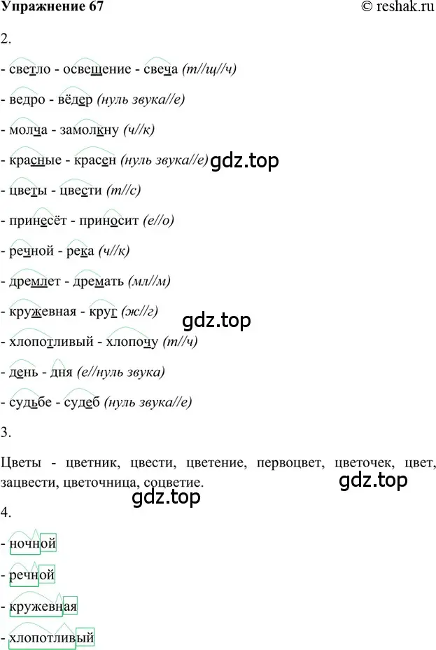 Решение 2. номер 67 (страница 172) гдз по русскому языку 5 класс Шмелев, Флоренская, учебник 1 часть