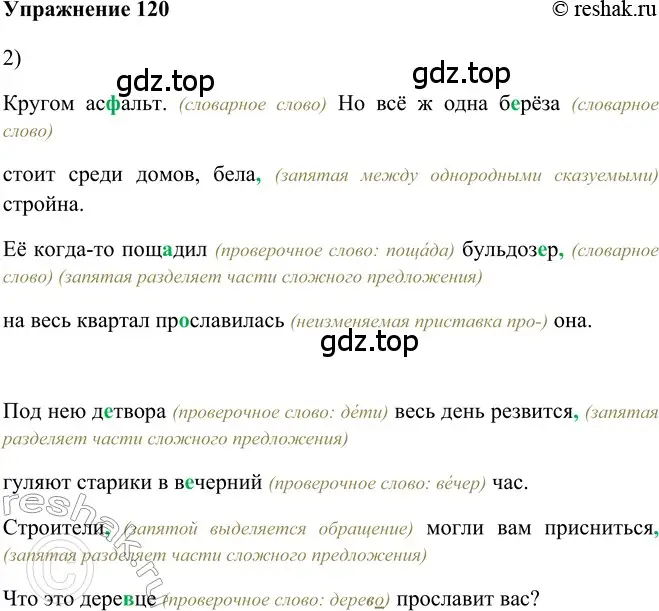 Решение 2. номер 120 (страница 99) гдз по русскому языку 5 класс Шмелев, Флоренская, учебник 2 часть