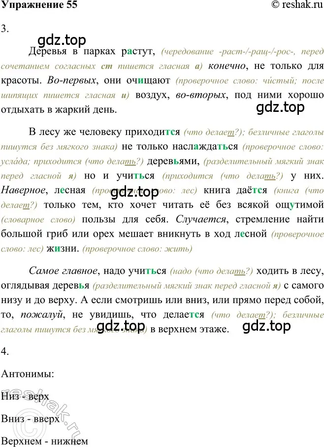 Решение 2. номер 55 (страница 49) гдз по русскому языку 5 класс Шмелев, Флоренская, учебник 2 часть