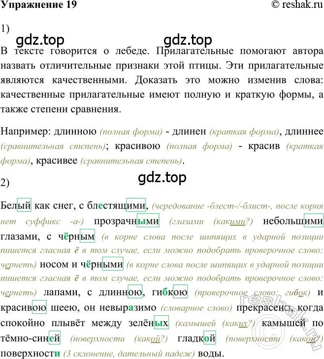 Решение 2. номер 19 (страница 201) гдз по русскому языку 5 класс Шмелев, Флоренская, учебник 2 часть