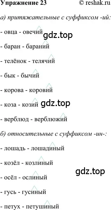 Решение 2. номер 23 (страница 202) гдз по русскому языку 5 класс Шмелев, Флоренская, учебник 2 часть