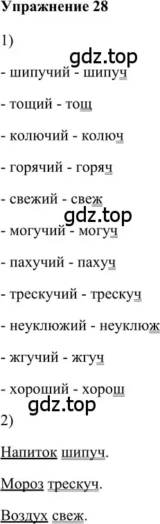 Решение 2. номер 28 (страница 205) гдз по русскому языку 5 класс Шмелев, Флоренская, учебник 2 часть