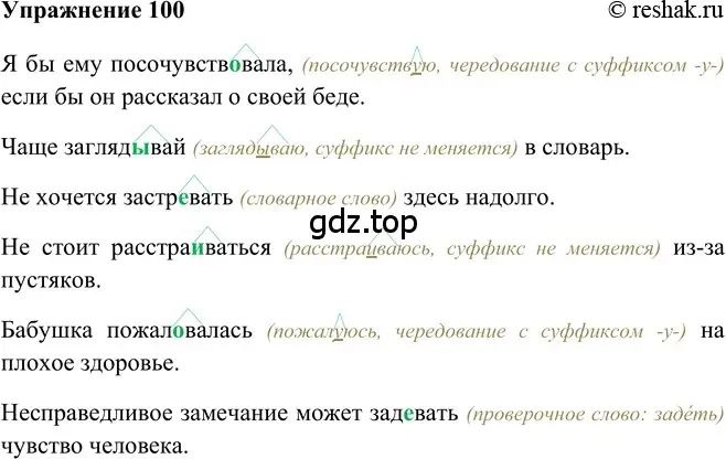 Решение 2. номер 100 (страница 301) гдз по русскому языку 5 класс Шмелев, Флоренская, учебник 2 часть