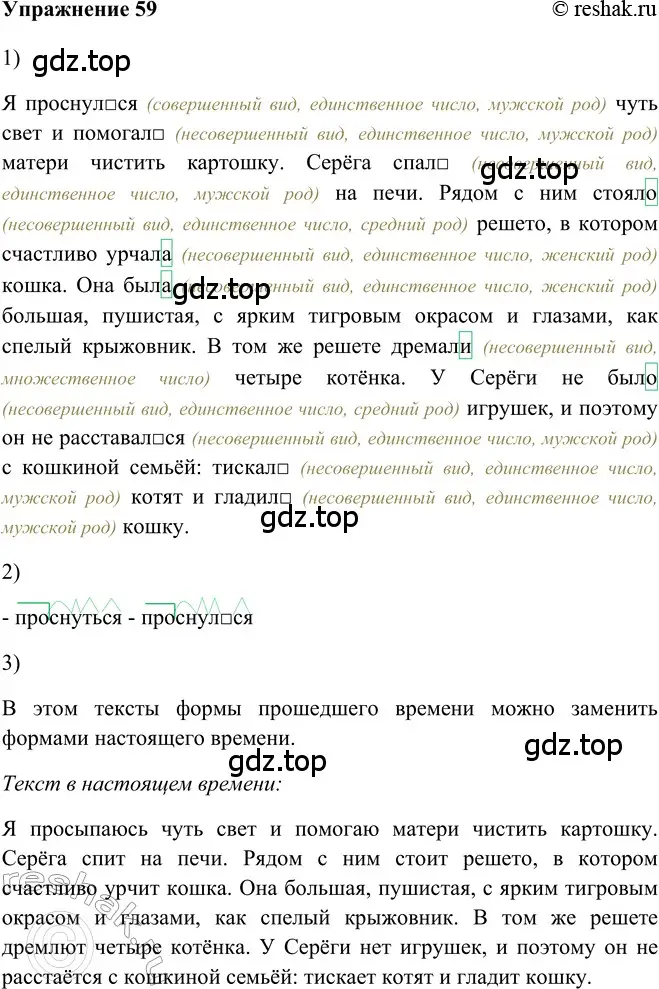 Решение 2. номер 59 (страница 283) гдз по русскому языку 5 класс Шмелев, Флоренская, учебник 2 часть