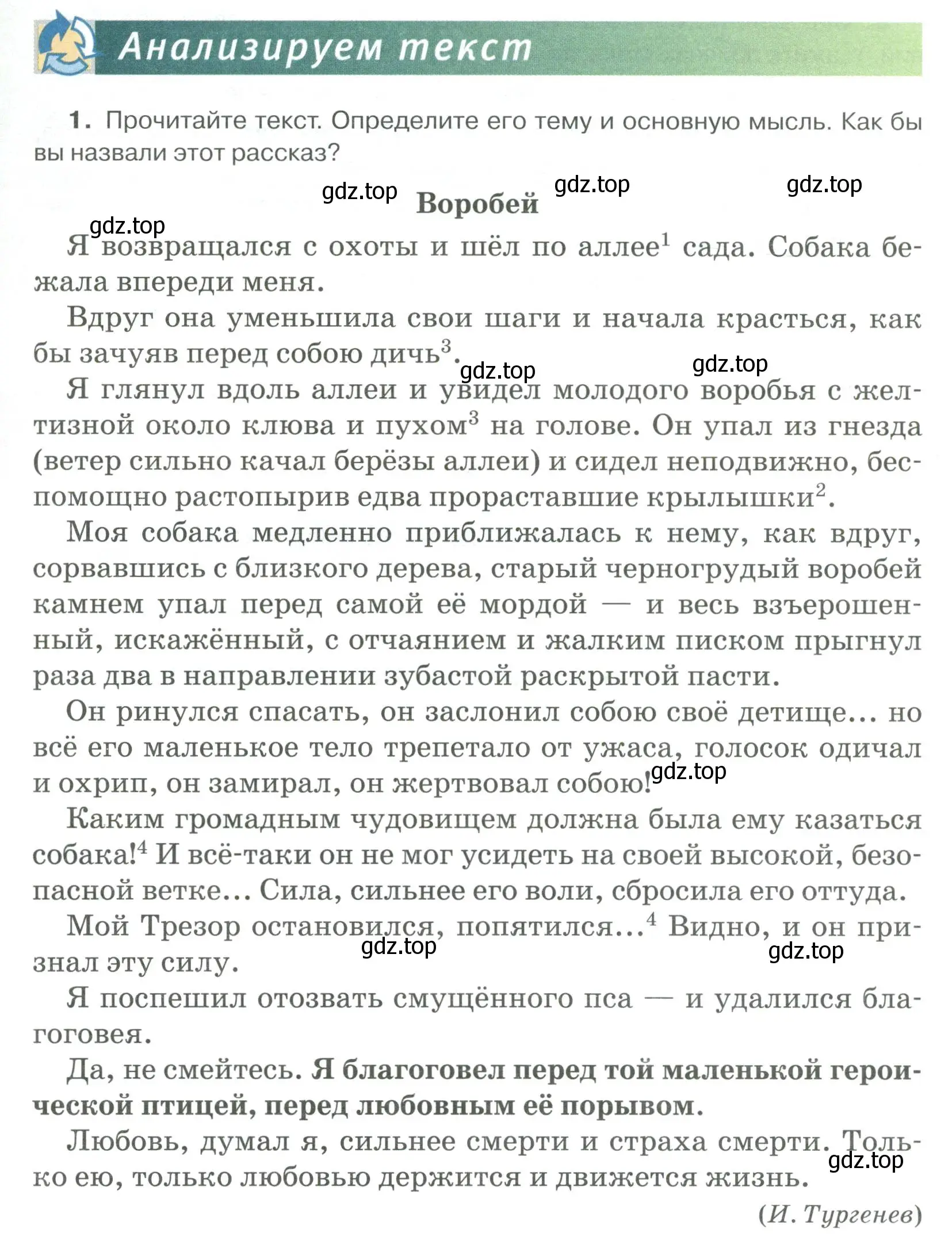 Условие номер 1 (страница 175) гдз по русскому языку 6 класс Быстрова, Кибирева, учебник 1 часть