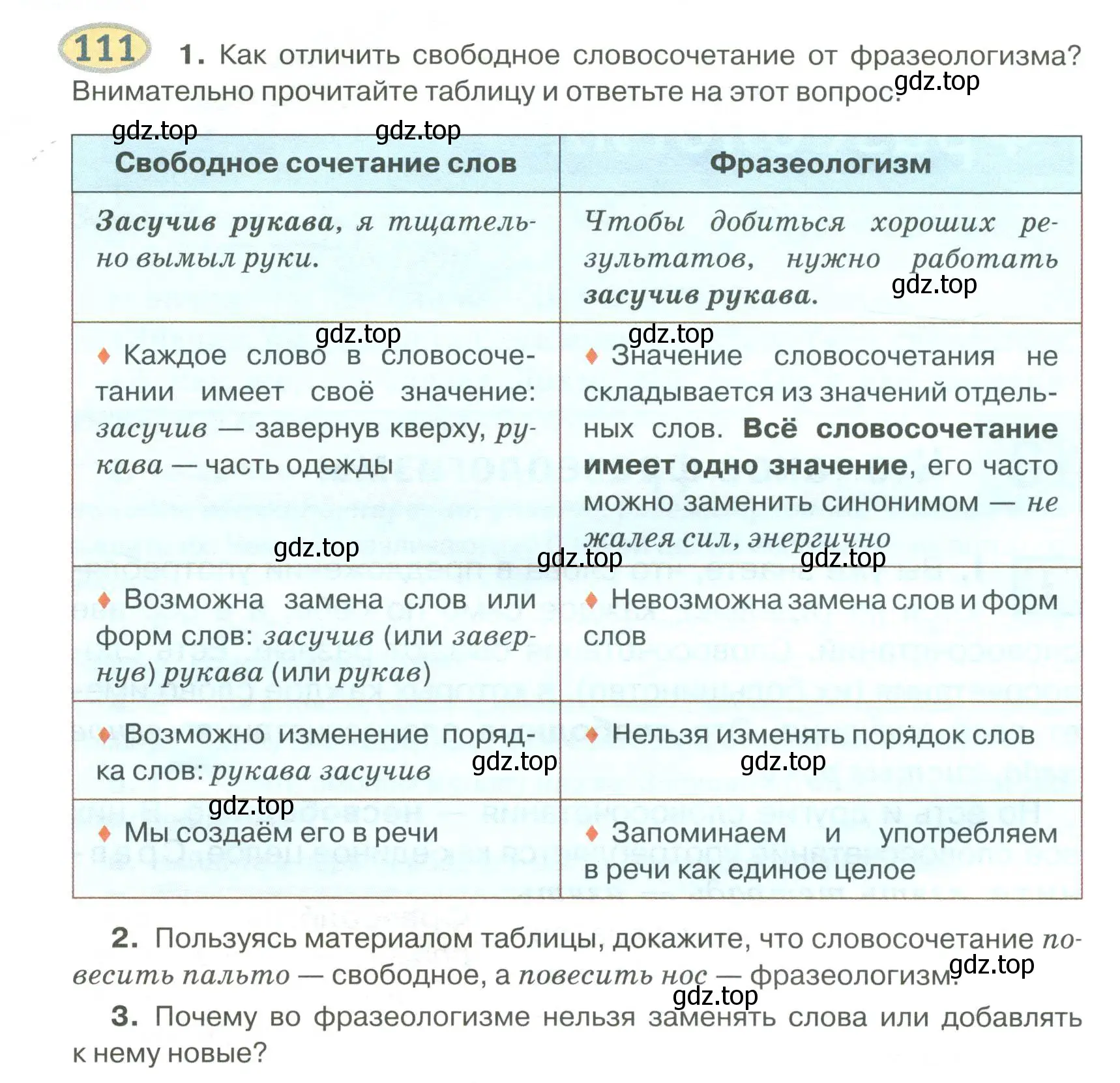 Условие номер 111 (страница 116) гдз по русскому языку 6 класс Быстрова, Кибирева, учебник 1 часть