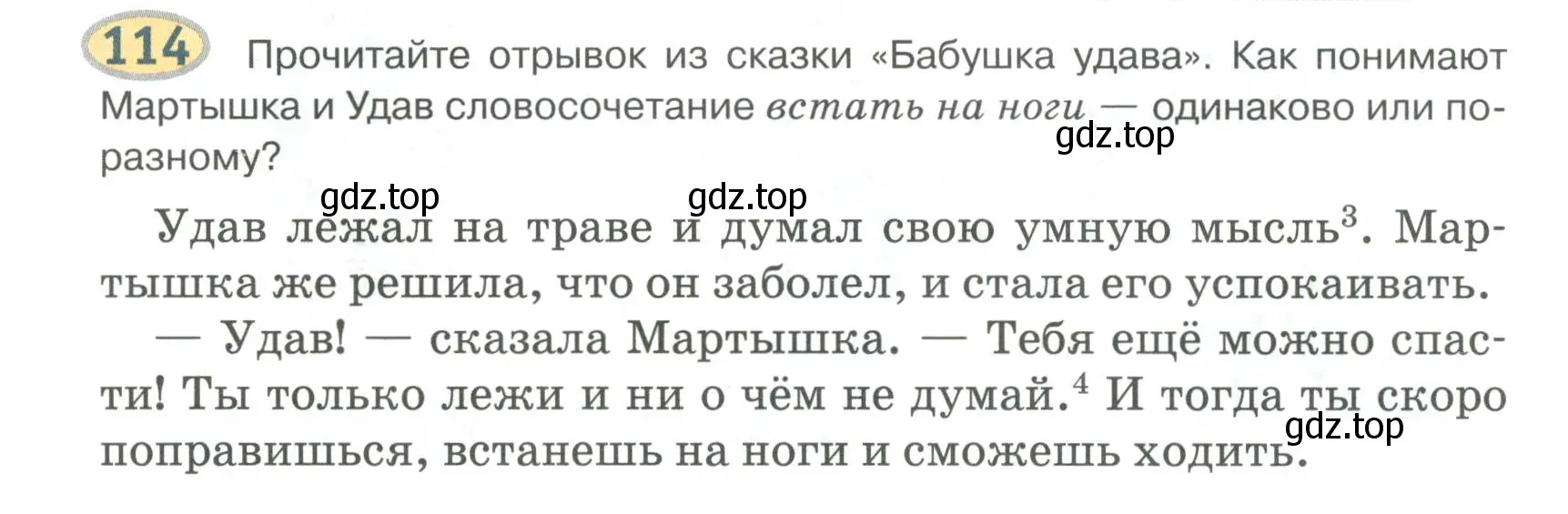 Условие номер 114 (страница 117) гдз по русскому языку 6 класс Быстрова, Кибирева, учебник 1 часть