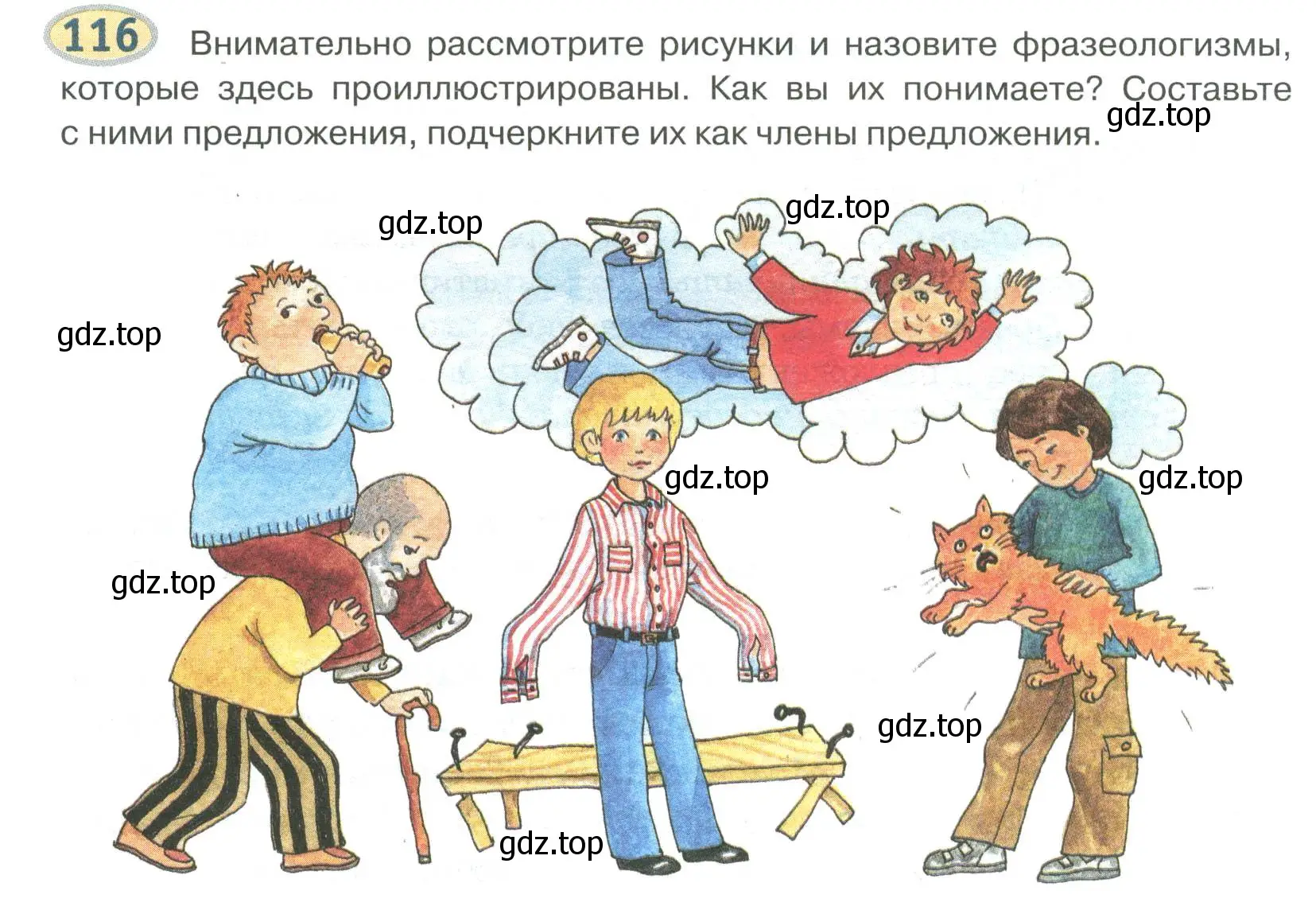 Условие номер 116 (страница 118) гдз по русскому языку 6 класс Быстрова, Кибирева, учебник 1 часть