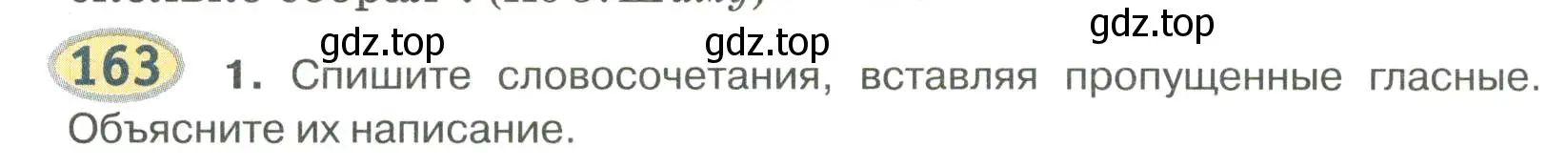 Условие номер 163 (страница 143) гдз по русскому языку 6 класс Быстрова, Кибирева, учебник 1 часть